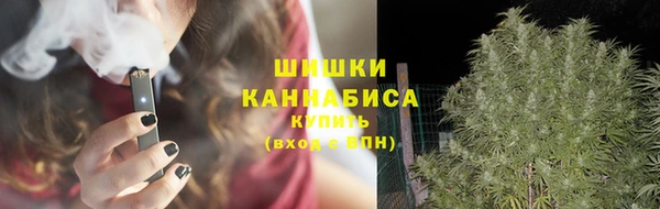 трава Алзамай