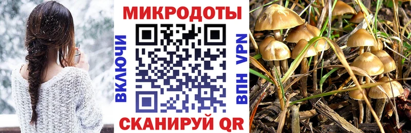 дарк нет официальный сайт  где найти   Устюжна  Галлюциногенные грибы прущие грибы 